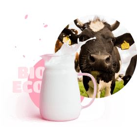fresh milk and cow